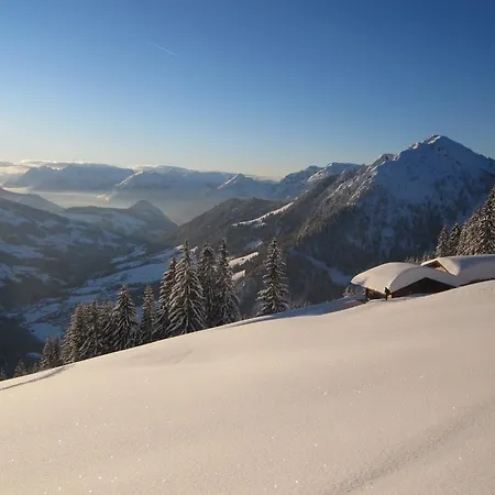Apartment Acker Alpbach