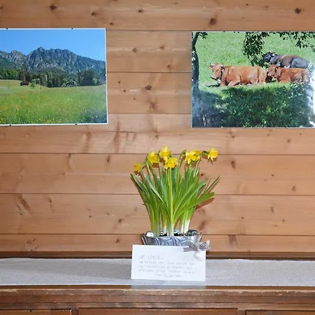 Acker * 알프바취