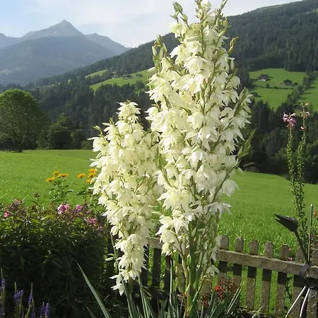 Acker Alpbach