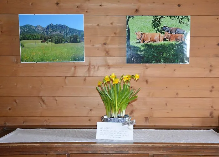 Acker * 阿尔卑巴赫