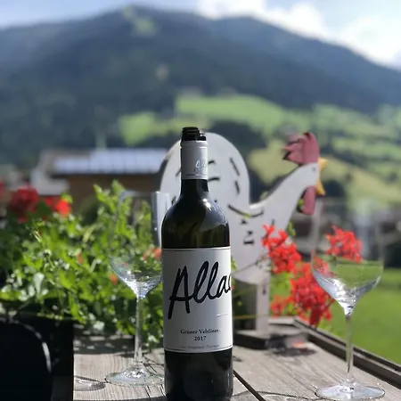 Acker Appartement Alpbach